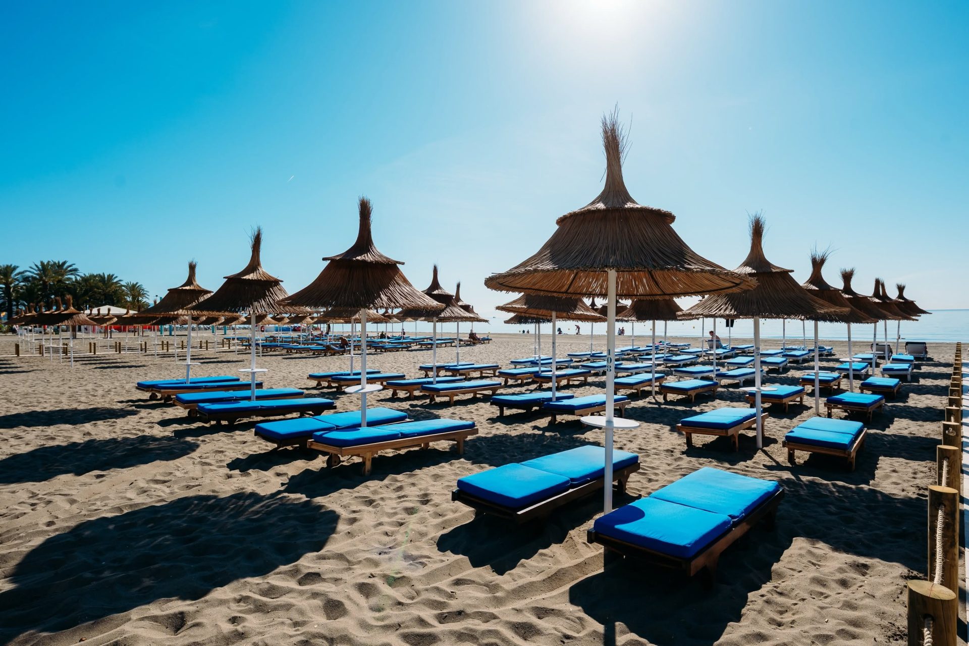 Playa de Tropicana Beach Club, con hamacas azules y sombrillas frente al mar